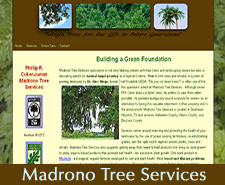 madrono tree services